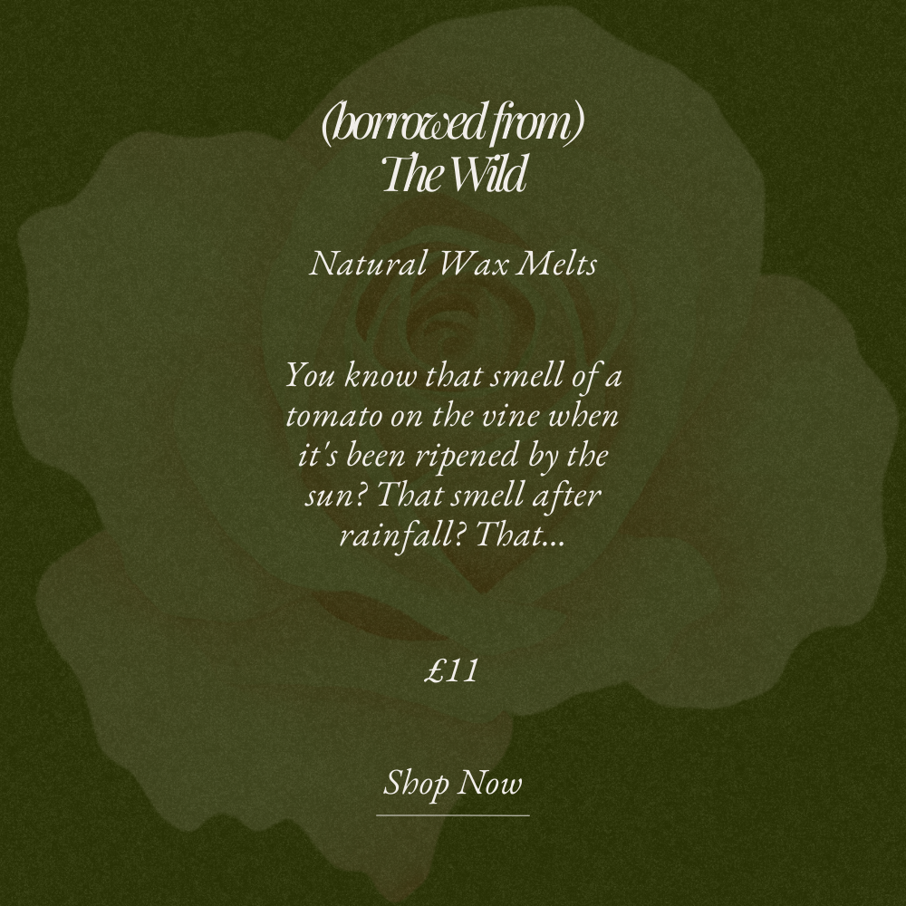 borrowed from the wild wax melts.png__PID:1b8ed0a7-c6cf-4661-8b30-a6c7a8244068