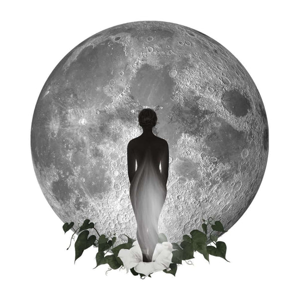 WYLDE MOON gift card