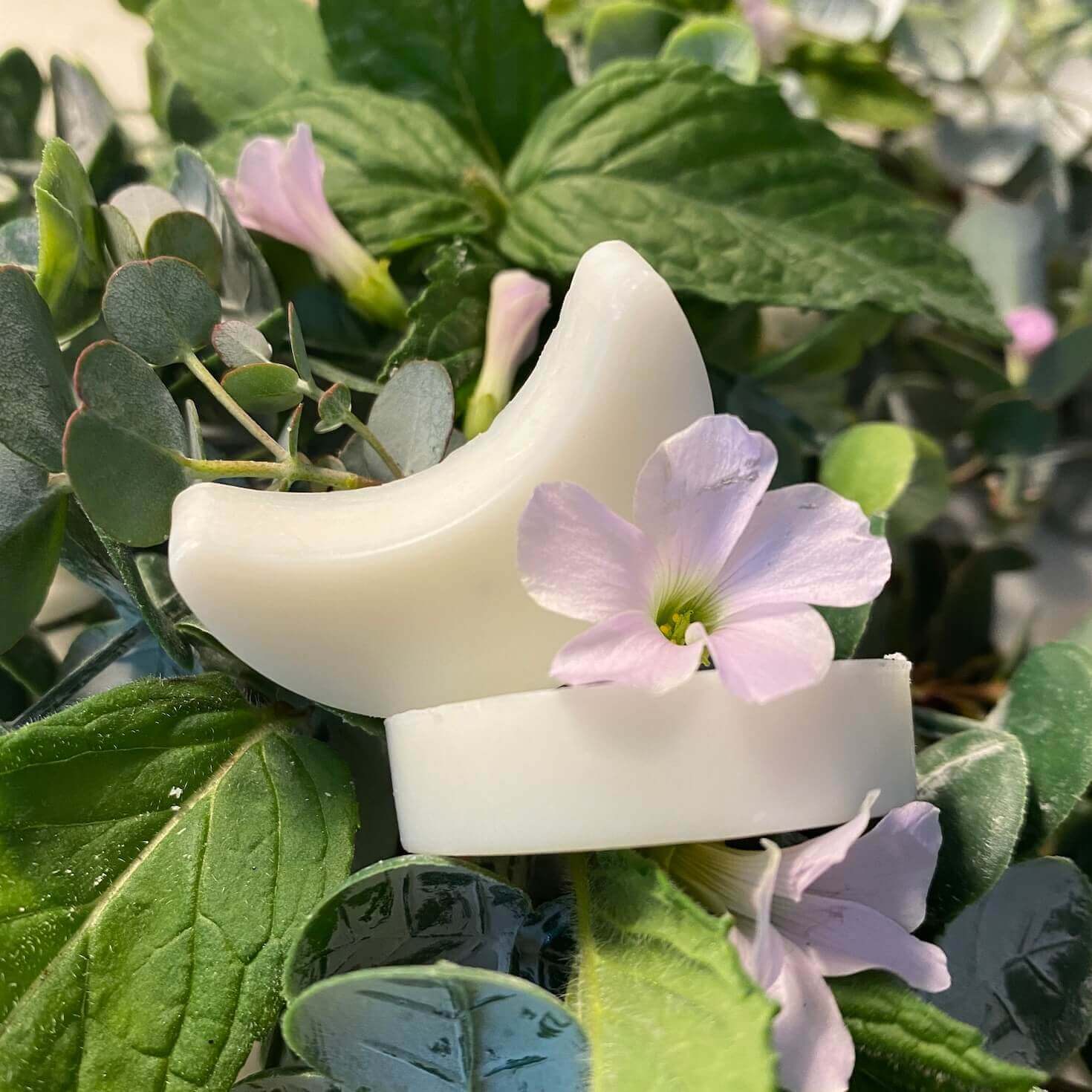 Wax melts with a fresh fragrance of wild gardens wet after rain